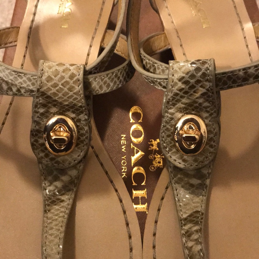 Coach “Ingrid” Snakeskin Thong Sandal - Picture 2 of 6